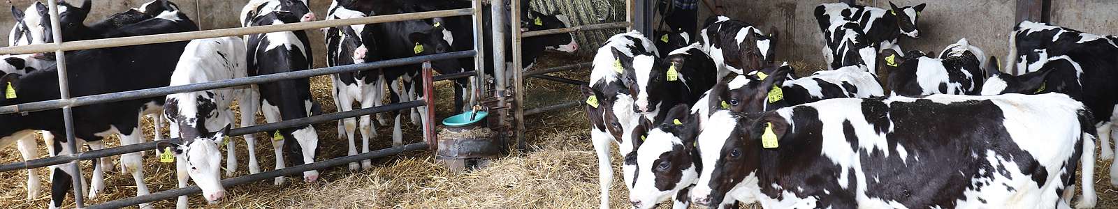Impressum | Maiers frische Milchprodukte, Oberwihl-Hotzenwald